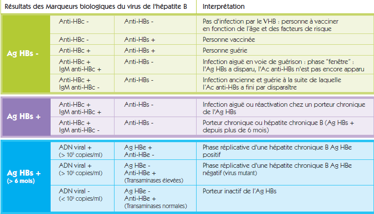 Point sur l'HEPATITE B.