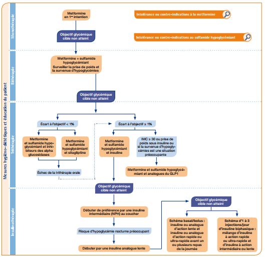 Mémo : la metformine en points clés