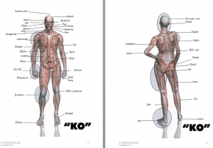 anatomie en kréol